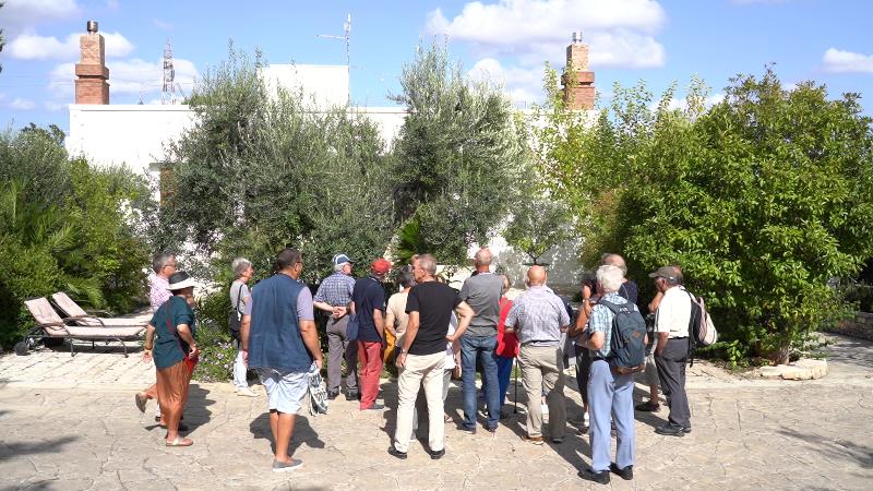 Agriturismo Salinola - Aktivite