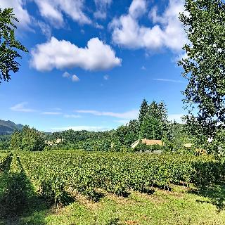 Domaine des Vans - Terres de France