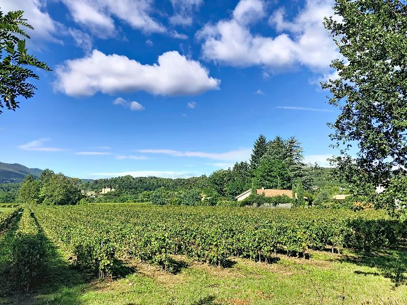 Domaine des Vans - Terres de France - Genel
