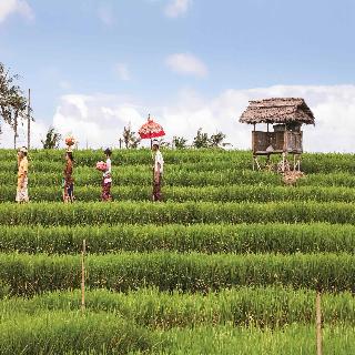 Tribe Bali Kuta Beach fotoÄŸrafÄ±