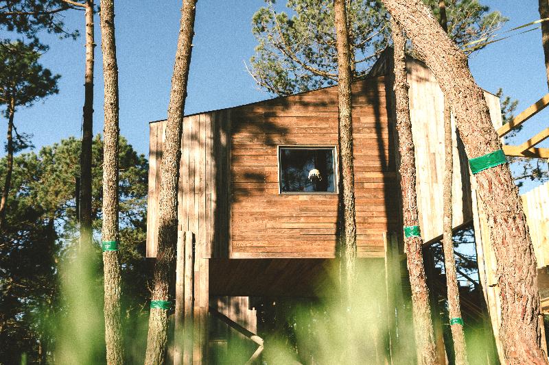 Bukubaki Ecosurf - Genel