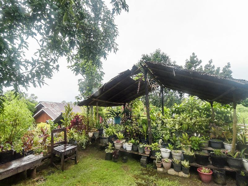 OYO Homes 91101 Homesstay Desa Wisata Marinsow - Lobi