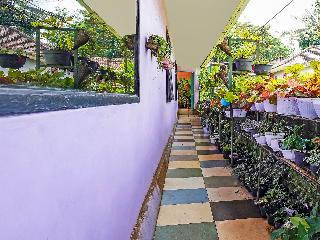 OYO Homes 91103 Desa Wisata Lembah Gunung Tumpeng fotoÄŸrafÄ±