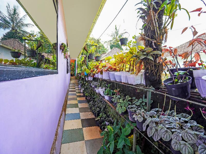 OYO Homes 91103 Desa Wisata Lembah Gunung Tumpeng - Genel