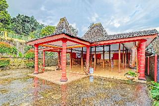 Homes Desa Wisata Conto fotoÄŸrafÄ±