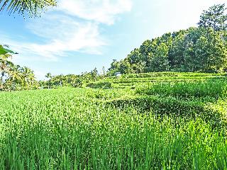 OYO Homes 91094 Desa Wisata Banyuatis fotoÄŸrafÄ±