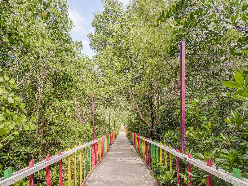OYO Homes 91118 Homesstay Desa Wisata Budo - Plaj