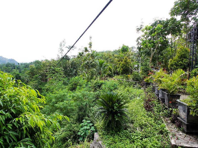 OYO Homes 91134 Desa Wisata Tebing Lingga - Genel
