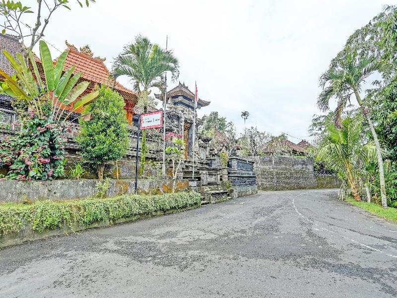 Desa Wisata Carangsari - Genel