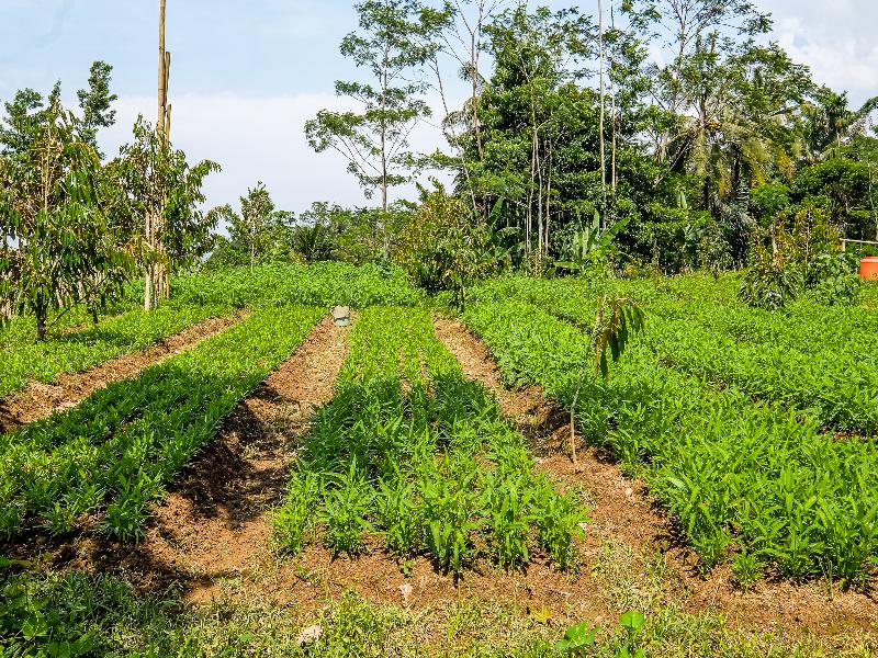 OYO Homes 91067 Desa Wisata Santanamekar - Genel