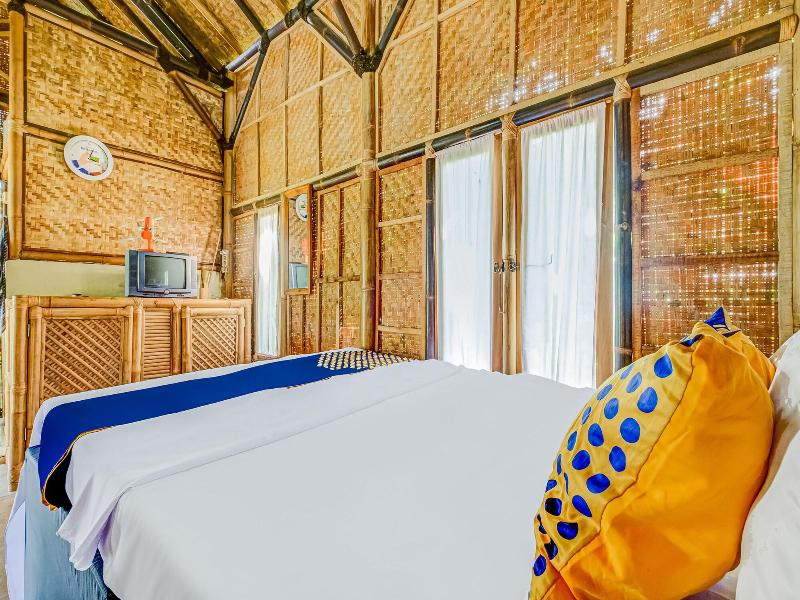 OYO Homes 91067 Desa Wisata Santanamekar - Oda