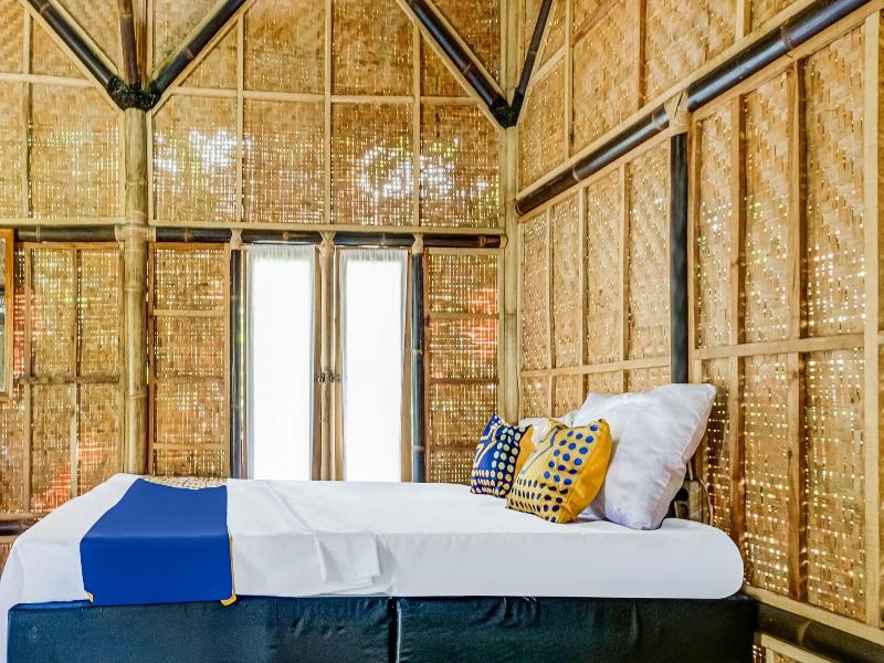 OYO Homes 91067 Desa Wisata Santanamekar - Oda