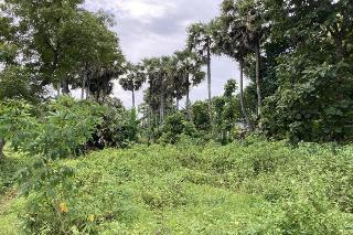 OYO Homes 91136 Desa Wisata Dalegan fotoÄŸrafÄ±