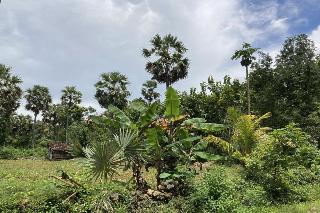 OYO Homes 91136 Desa Wisata Dalegan fotoÄŸrafÄ±