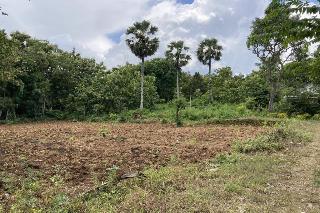 OYO Homes 91136 Desa Wisata Dalegan fotoÄŸrafÄ±