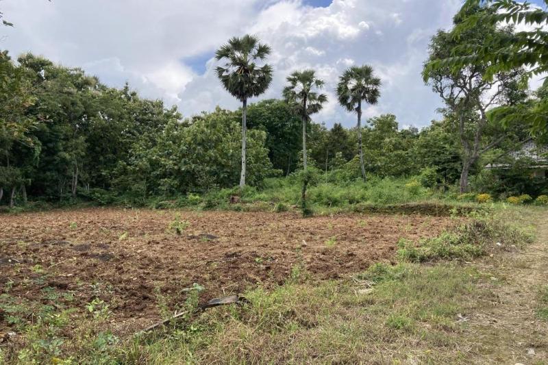 OYO Homes 91136 Desa Wisata Dalegan - Genel