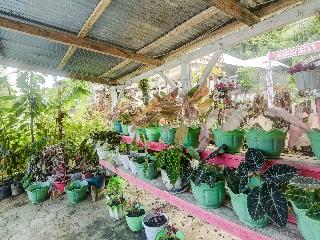 OYO Homes 91148 Homesstay Desa Wisata Bahoi fotoÄŸrafÄ±