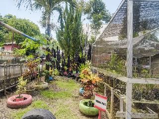 OYO Homes 91148 Homesstay Desa Wisata Bahoi fotoÄŸrafÄ±