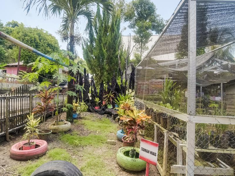 OYO Homes 91148 Homesstay Desa Wisata Bahoi - Genel