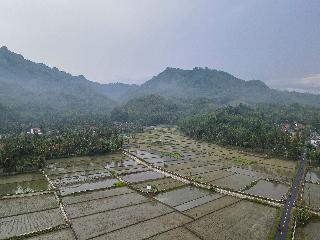 OYO Homes 91153 Desa Wisata Kawasen fotoÄŸrafÄ±