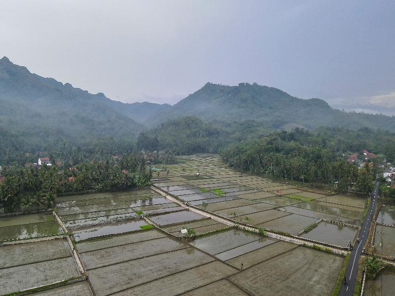 OYO Homes 91153 Desa Wisata Kawasen - Genel