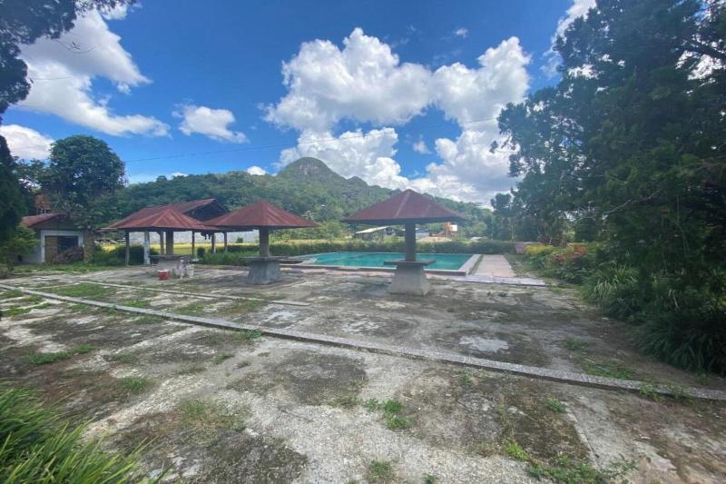 Capital O 91073 Rantepao Lodge - Genel
