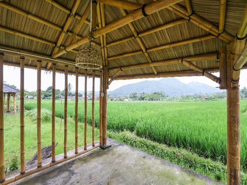 Homes Desa Wisata Kreatif Perdamaian Sru - Lobi