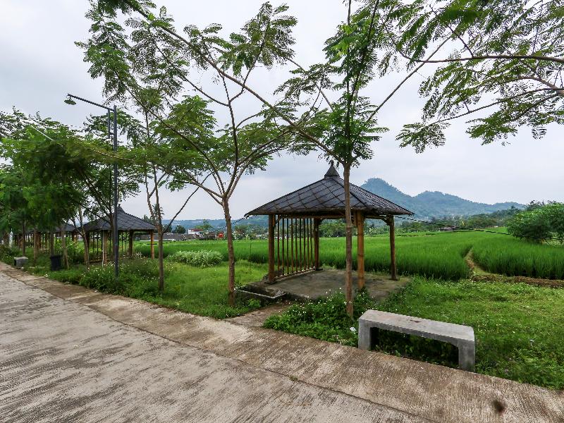 Homes Desa Wisata Kreatif Perdamaian Sru - Lobi