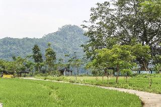 Homes Desa Wisata Kreatif Perdamaian Sru fotoÄŸrafÄ±