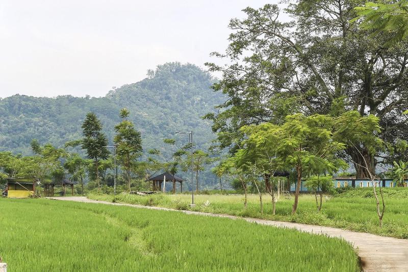 Homes Desa Wisata Kreatif Perdamaian Sru - Lobi