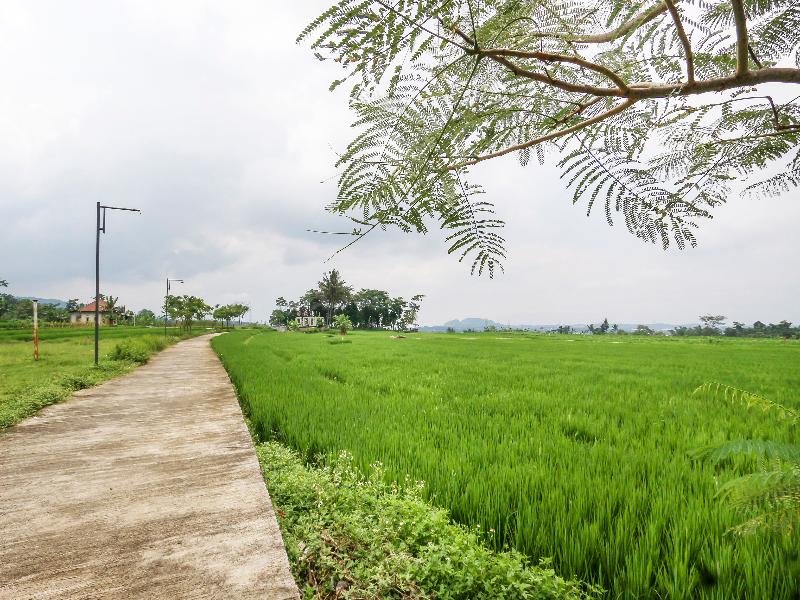 Homes Desa Wisata Kreatif Perdamaian Sru - Lobi