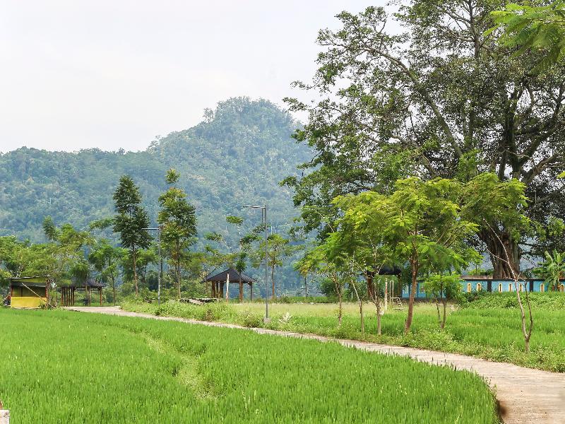 Homes Desa Wisata Kreatif Perdamaian Sru - Lobi