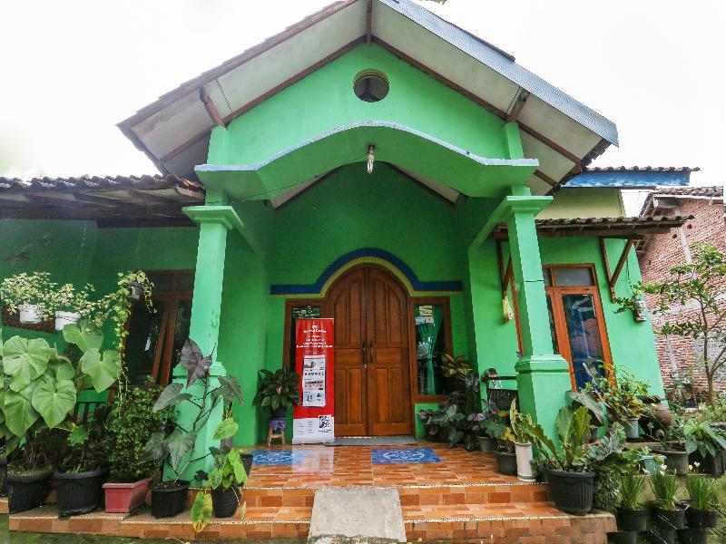 Homes Desa Wisata Kreatif Perdamaian Sru - Genel