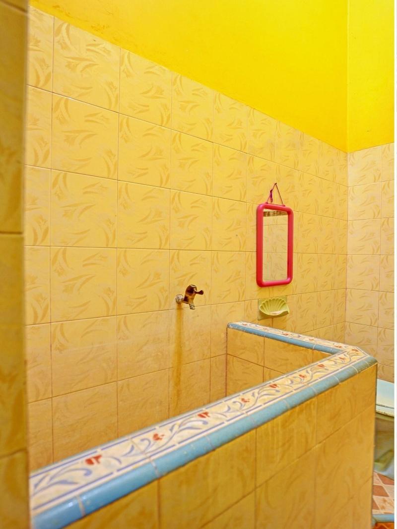 OYO Homes 91142 Desa Wisata Alam Gosari (wagos) - Oda