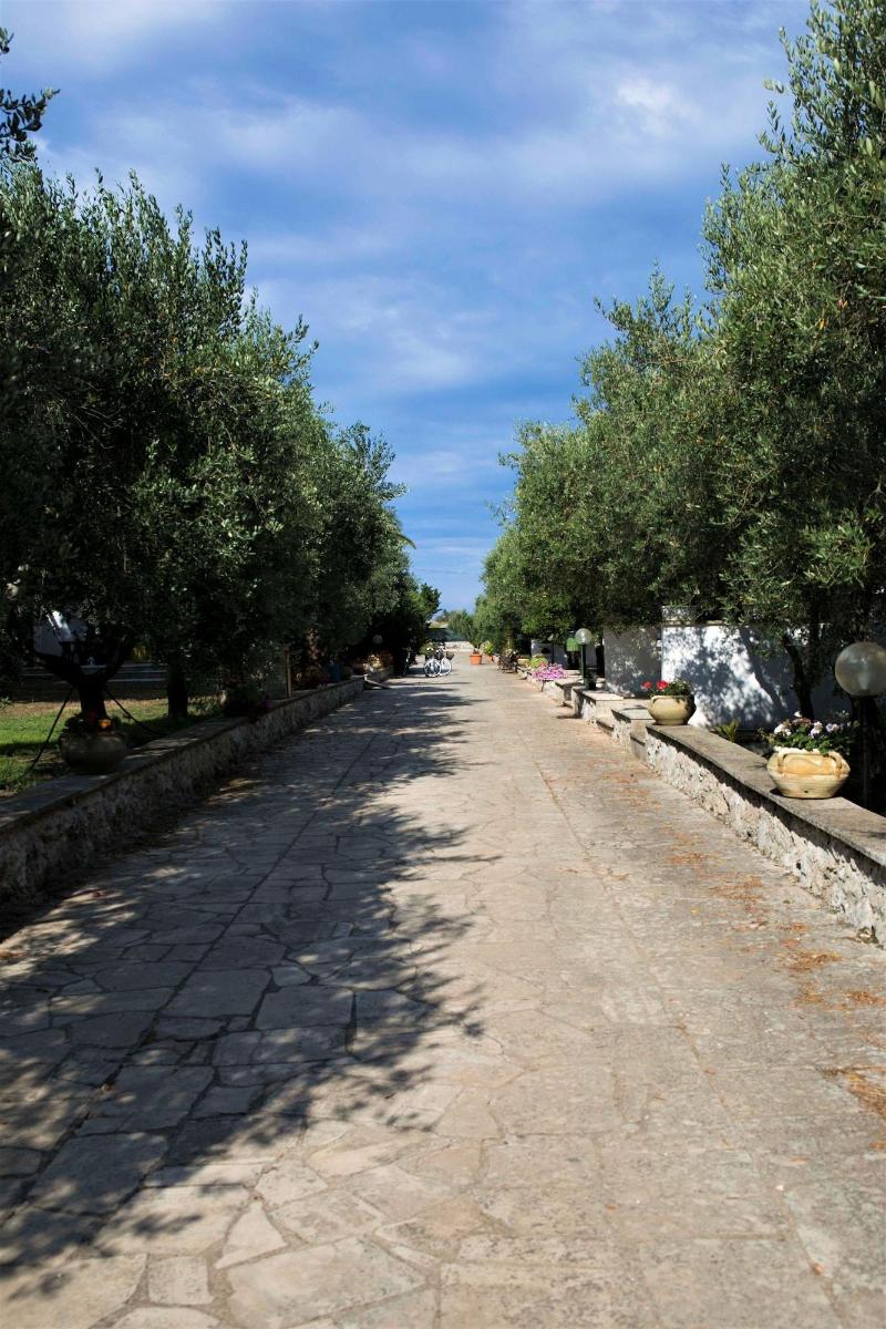 Residence Conchiglia San Giovanni - Genel