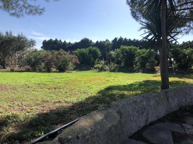 Residence Conchiglia San Giovanni - Genel