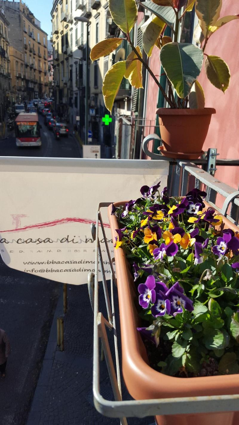 A Casa di Mamma B&B - Genel