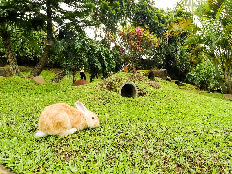 OYO90992 Eco Tourism Desa Panundaan CiwideySyariah - Aktivite