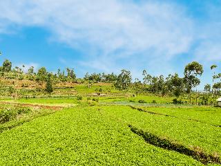 OYO90992 Eco Tourism Desa Panundaan CiwideySyariah fotoÄŸrafÄ±