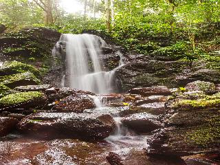 OYO 91089 Desa Wisata Air Terjun Way Kalam Syariah fotoÄŸrafÄ±