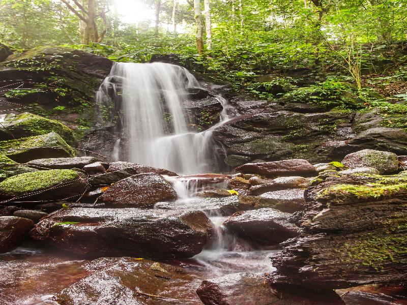 OYO 91089 Desa Wisata Air Terjun Way Kalam Syariah - Genel