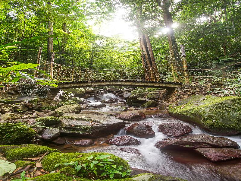 OYO 91089 Desa Wisata Air Terjun Way Kalam Syariah - Genel
