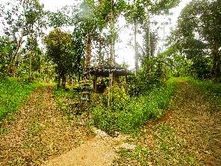 OYO 91089 Desa Wisata Air Terjun Way Kalam Syariah fotoÄŸrafÄ±