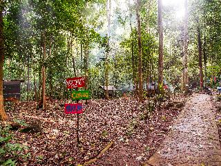 OYO 91089 Desa Wisata Air Terjun Way Kalam Syariah fotoÄŸrafÄ±