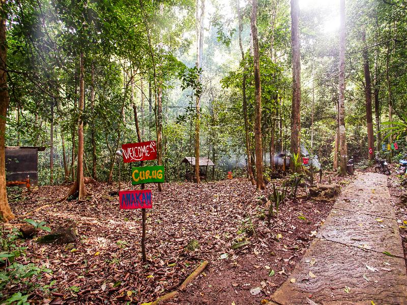 OYO 91089 Desa Wisata Air Terjun Way Kalam Syariah - Genel