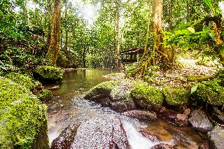 OYO 91089 Desa Wisata Air Terjun Way Kalam Syariah fotoÄŸrafÄ±