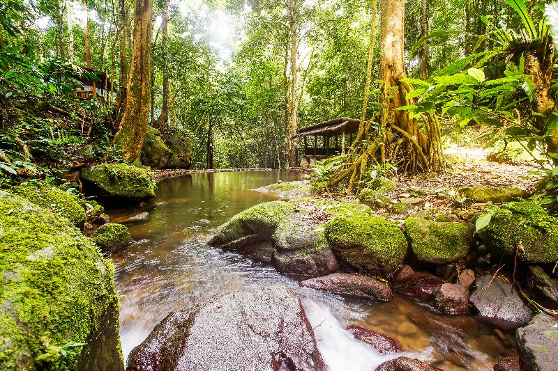 OYO 91089 Desa Wisata Air Terjun Way Kalam Syariah - Genel