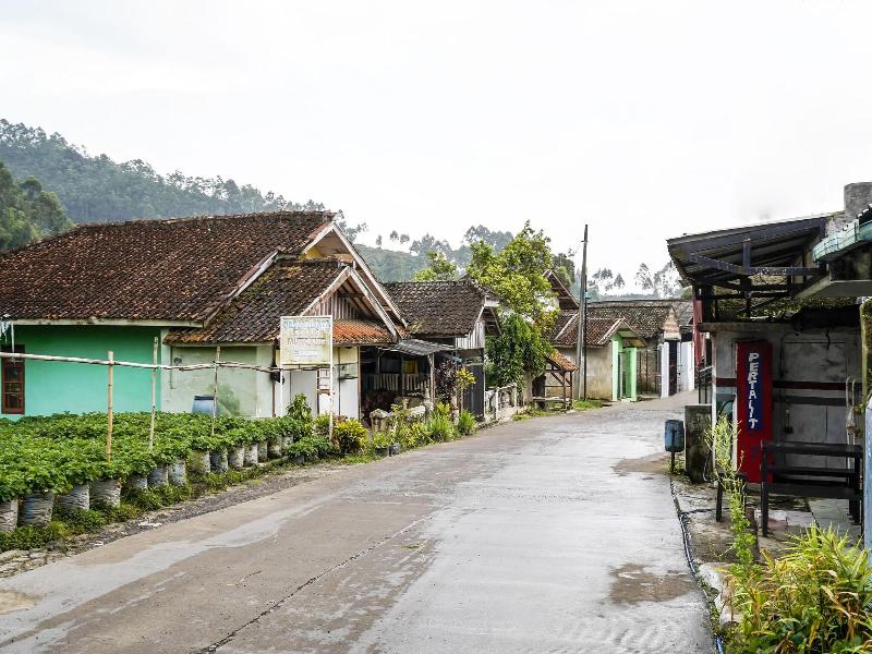 OYO 91128 Desa Wisata Lebakmuncang Ciwidey Syariah - Genel