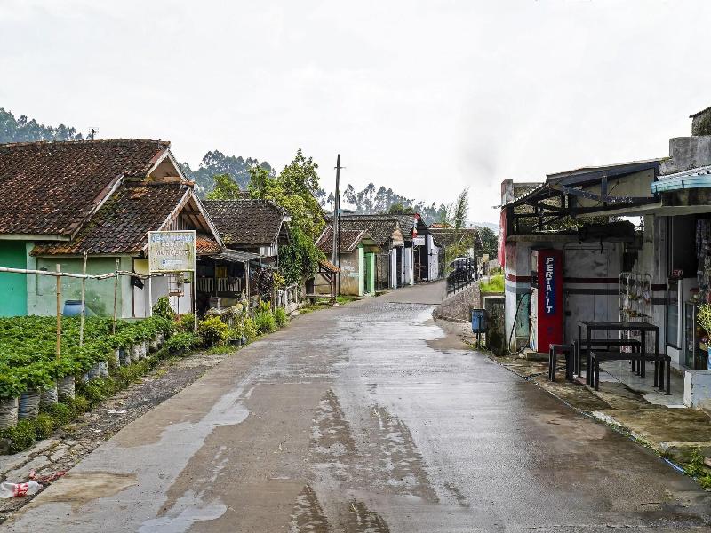 OYO 91128 Desa Wisata Lebakmuncang Ciwidey Syariah - Genel