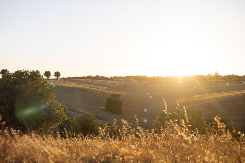 Sleep & Nature Hotel Rural - Genel
